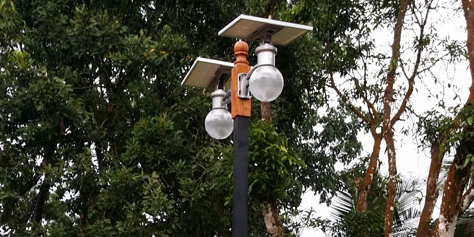 Do LED Lights Attract Bugs? Colors and Outdoor Lighting Tips