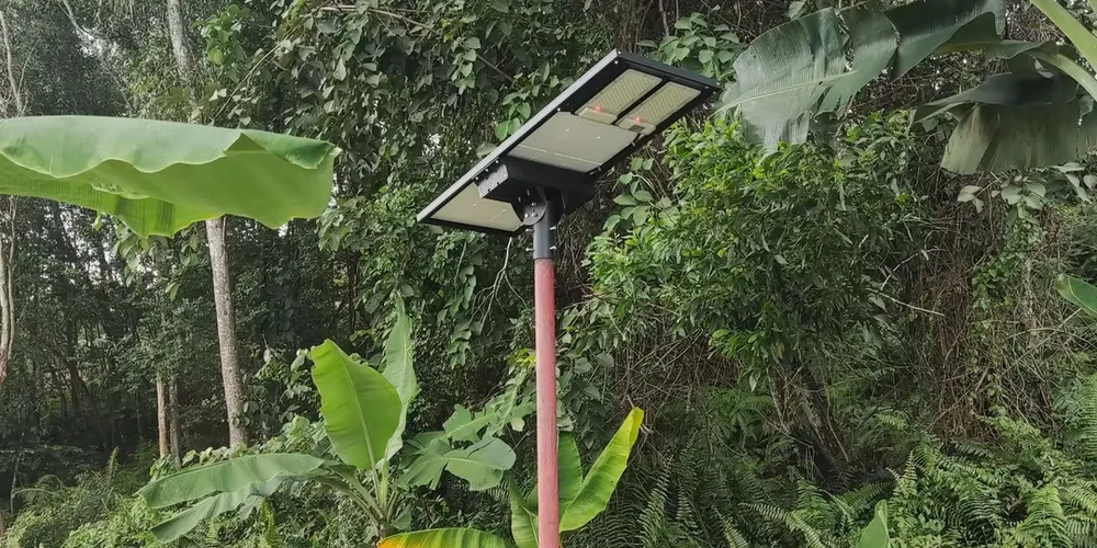 Solar street light mounted on a pole above planted rows on a farm