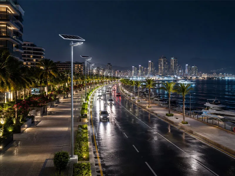 Coastal Roads & Marina Promenades Coastal Roads & Marina Promenades