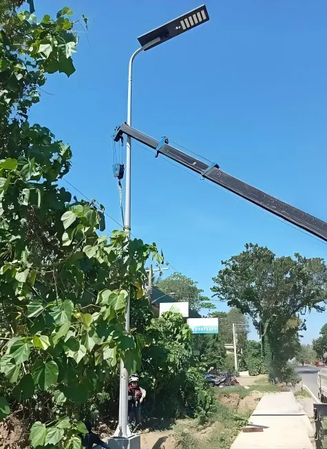 Erect and Secure the Pole