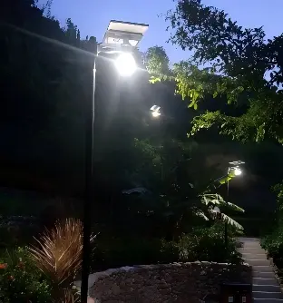 1784166195245942.webp What Are Project-Grade Solar Garden Street Lights.webp
