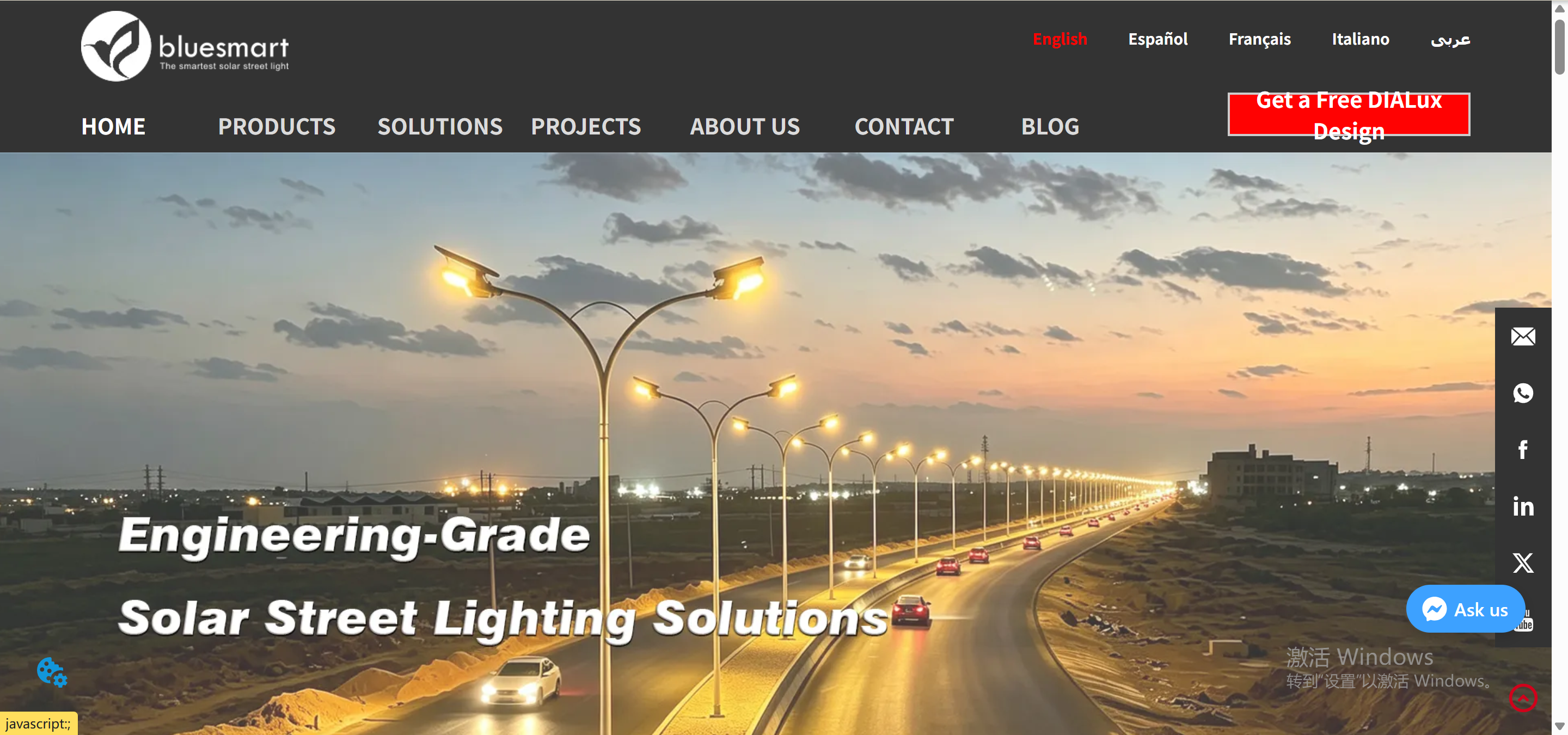 Bluesmart Solar OEM solar street light manufacturer China